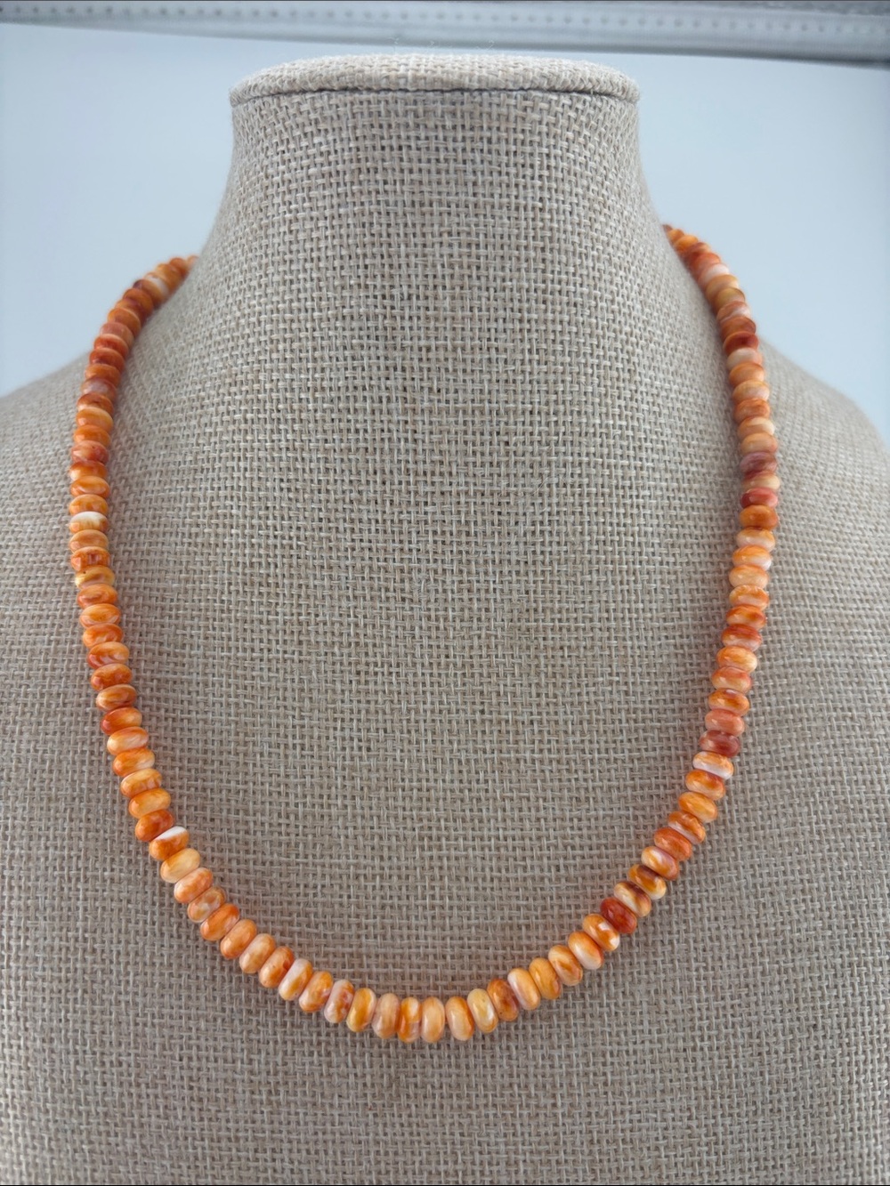 Spiney Oyster Rondel 20” necklace on 925 clasp